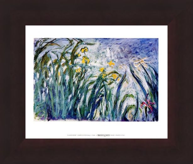 Framed Framed Campo Di Fiori Gialli - Claude Monet