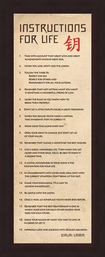 Framed Framed Instructions for Life - According to the Dalai Lama
