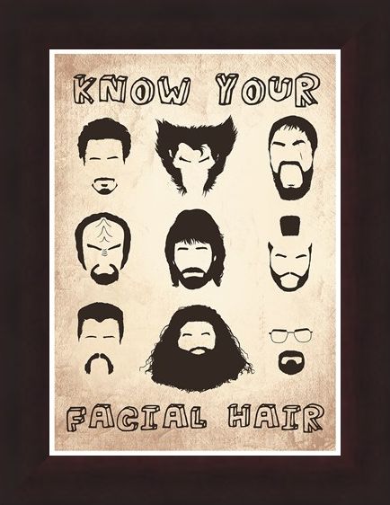 Framed Framed Know Your Facial Hair - Iconic Beards