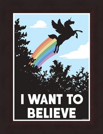 Framed Framed Delusional Unicorn - I Want To Believe