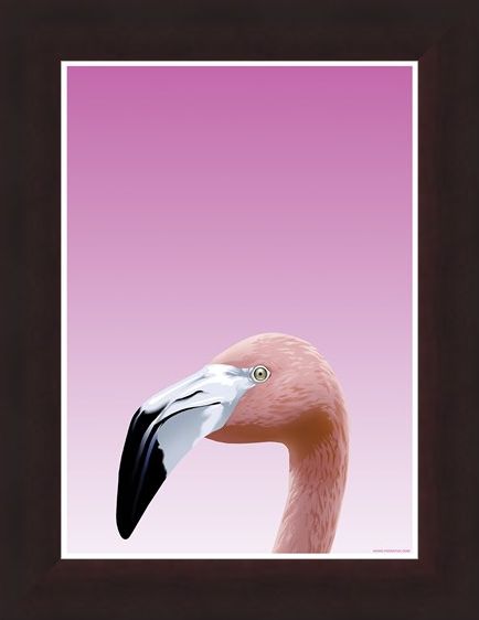 Framed Framed Flamboyant Flamingo - Inquisitive Creatures