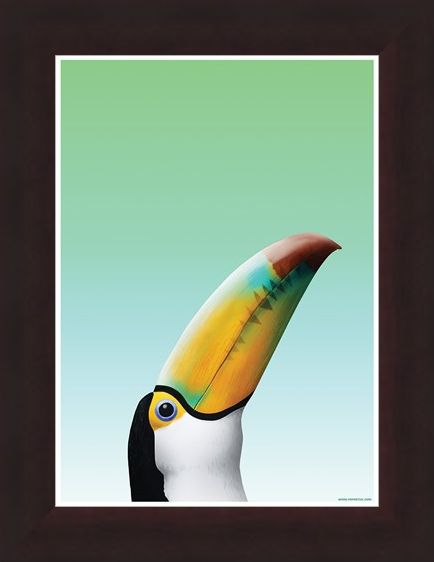 Framed Framed Toucan - Inquisitive Creatures