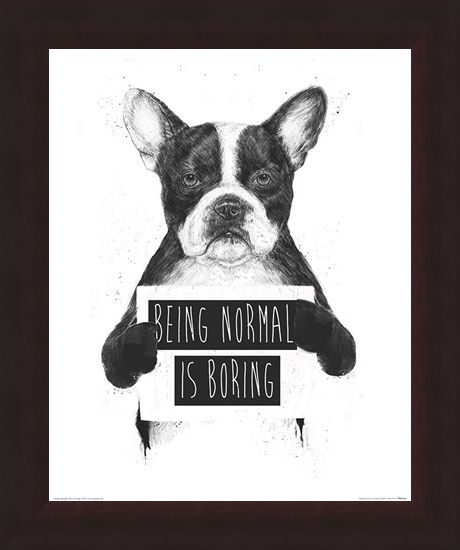 Framed Framed Being Normal Is Boring - Balazs Solti