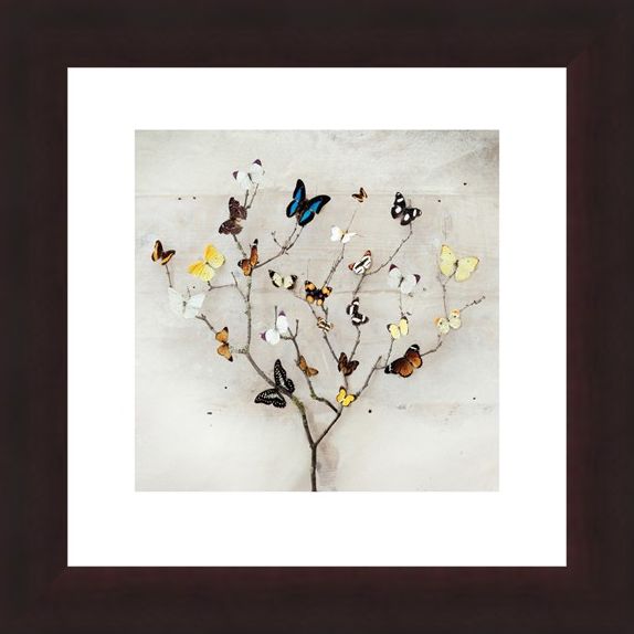 Framed Framed Tree of Butterflies - Ian Winstanley