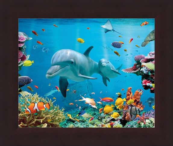 Framed Framed Tropical Ocean - Sea Creatures