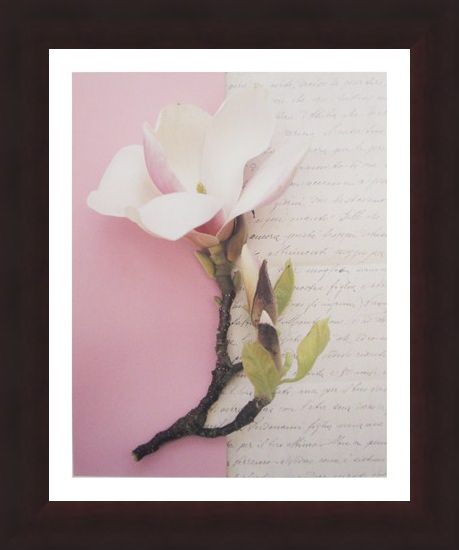 Framed Framed Emma's Garden Magnolia - Deborah Schenck