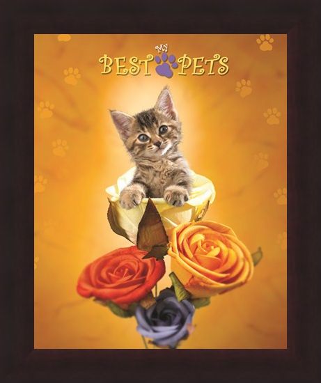 Framed Framed Cat amongst the Roses - My Best Pets