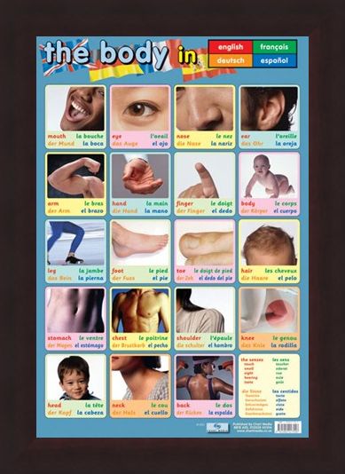 Framed Framed Body Parts - Language Guide