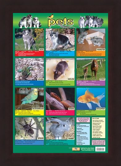 Framed Framed Pets - Not Just For Christmas!