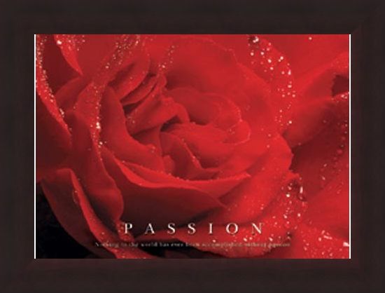 Framed Framed Rose Bloom - Passion, Inspirational