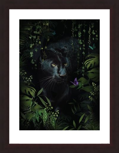Framed Framed Panther - Summer Thornton