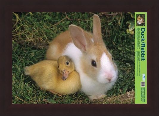 Framed Framed Best Friends - Duck And Rabbit