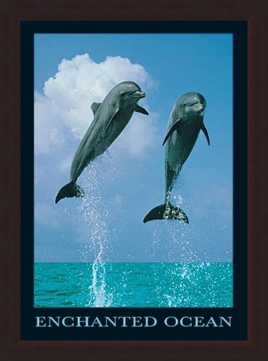 Framed Framed Dolphins Jumping - Enchanted Ocean
