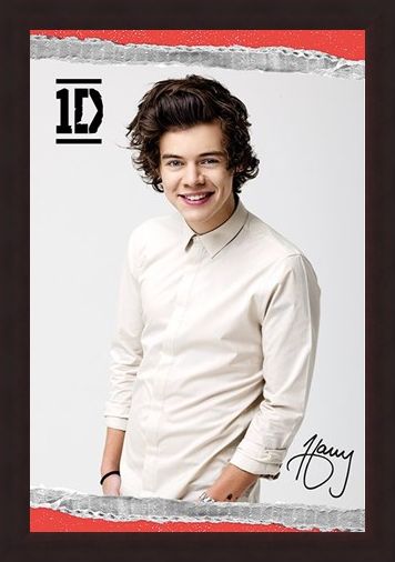 Framed Framed Harry - One Direction