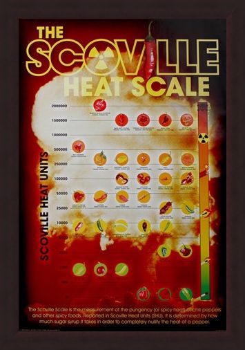 Framed Framed How Hot Can You Handle It? - The Scoville Heat Scale
