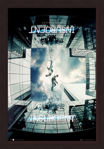 Framed Framed The Divergent Series - Insurgent