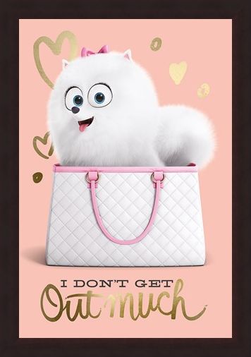 Framed Framed I Don't Get Out Much - The Secret Life Of Pets