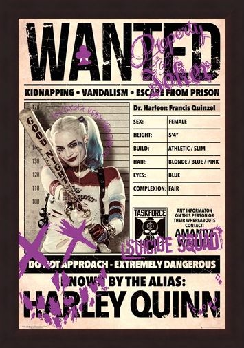 Framed Framed Harley Wanted - Suicide Squad