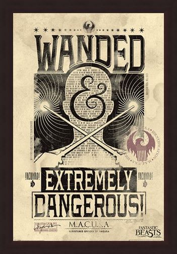 Framed Framed Extremely Dangerous - Fantastic Beasts
