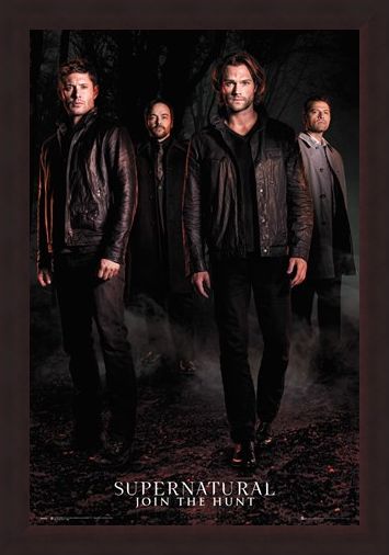 Framed Framed Season 12 - Supernatural