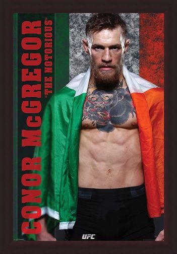 Framed Framed The Irish Champion - Conor McGregor