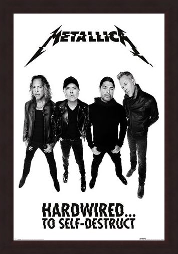 Framed Framed Hardwired To Self-Destruct - Metallica