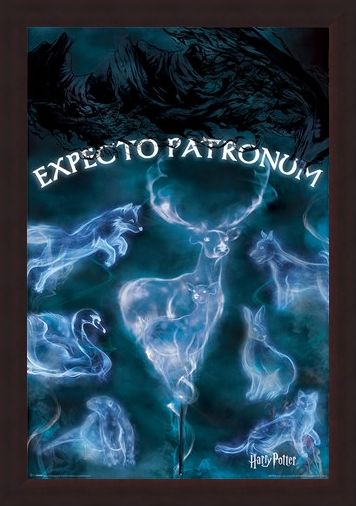 Framed Framed Expecto Patronum - Harry Potter