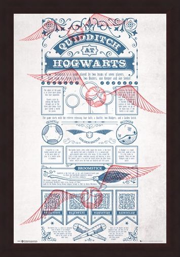 Framed Framed Rough Game, Quidditch - Harry Potter