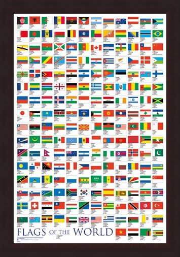 Framed Framed Flags Of The World - Educational
