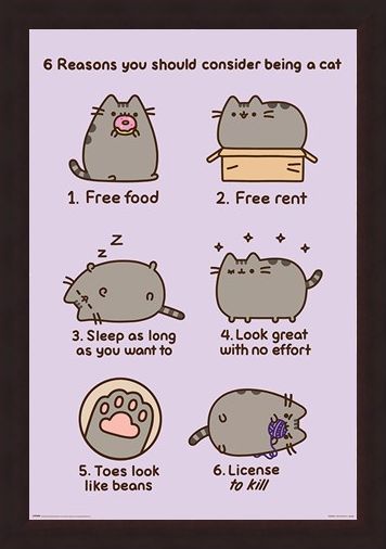 Framed Framed Reasons To Be A Cat - Pusheen