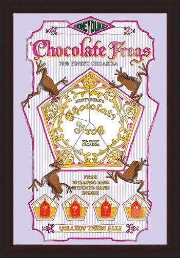 Framed Framed Honeydukes Chocolate Frogs - Harry Potter