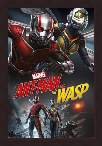 Framed Framed Ant-Man and The Wasp Dynamic - Marvel