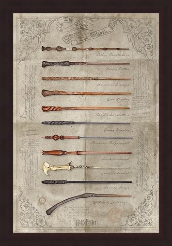 Framed Framed The Wand Chooses The Wizard - Harry Potter