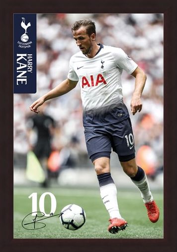 Framed Framed Kane 18-19 - Tottenham Hotspur