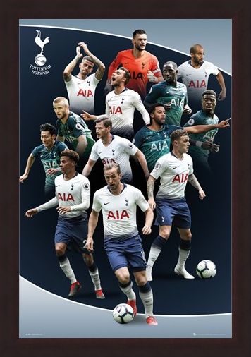 Framed Framed Players 18-19 - Tottenham Hotspur