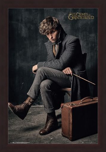 Framed Framed Newt Scamander - Fantastic Beasts 2