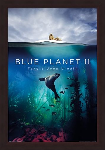 Framed Framed Take A Deep Breath - Blue Planet 2