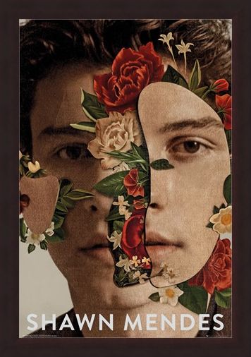 Framed Framed Flowers - Shawn Mendes