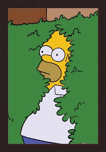Framed Framed Homer Bush - The Simpsons