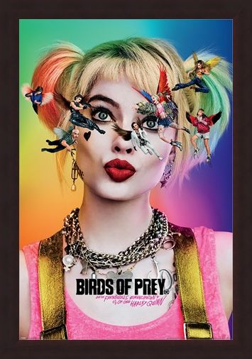 Framed Framed Seeing Stars - Birds Of Prey