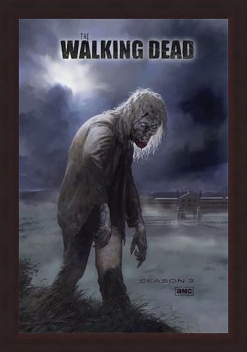 Framed Framed Flesh Eating Walker! - The Walking Dead