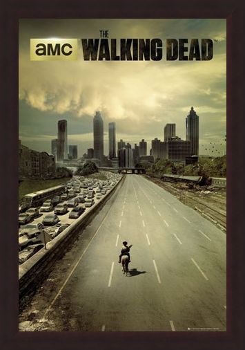 Framed Framed Andrew Lincoln Is Rick Grimes - The Walking Dead
