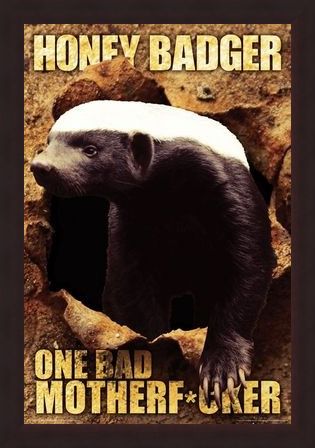 Framed Framed One Bad Mother F*cker - Honey Badger