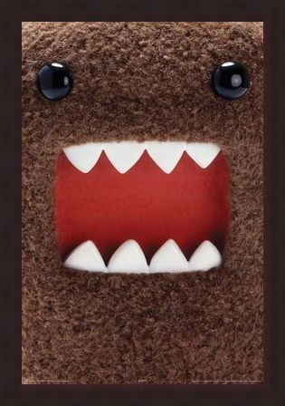 Framed Framed Extreme Close Up - Domo