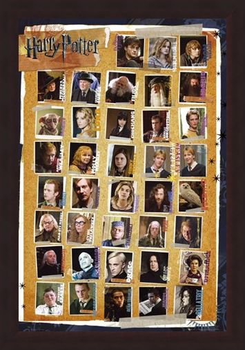 Framed Framed Character Montage - Harry Potter