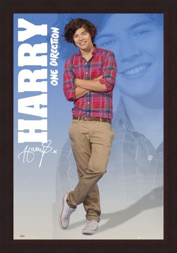 Framed Framed Harry - One Direction