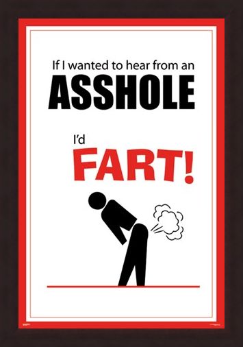 Framed Framed If I Wanted To Hear From An Asshole - I'd Fart