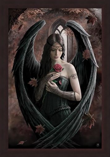 Framed Framed Angel Rose - Anne Stokes