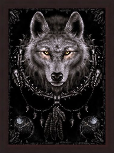 Framed Framed Wolf Dreams - Spiral
