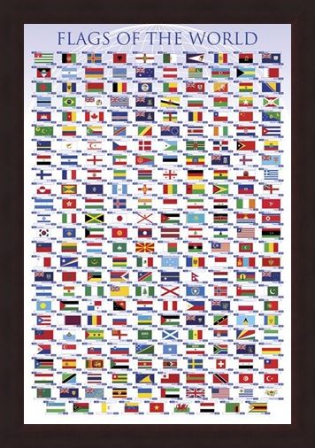 Framed Framed Flags of the World - Educational Chart
